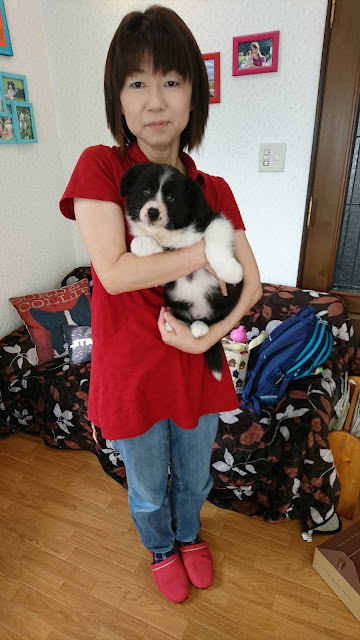 女性が子犬を抱いている様子を写した画像.