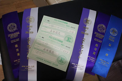 受賞証明書とリボンの詳細な写真.