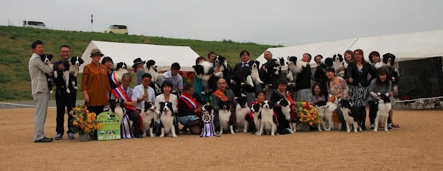 ボーダーコリー犬と飼い主のグループ写真、岡山展の様子.