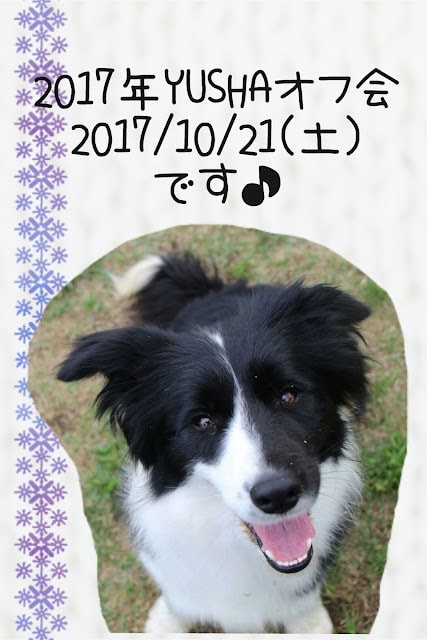 愛犬が笑顔でカメラを見つめる様子.