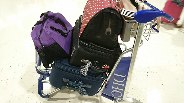 荷物とキャリーカートの写真、旅行準備の様子を示しています。.