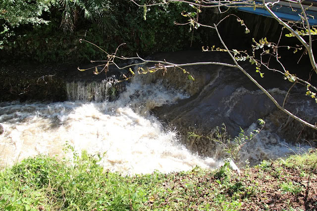 川の流れと水しぶきの様子.