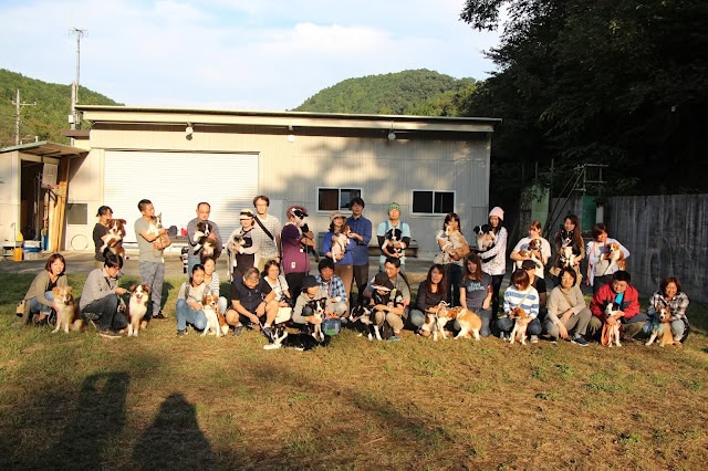 犬と飼い主が交流するパピーパーティの様子.