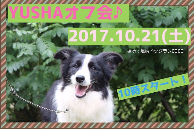 場所：足柄ドッグランCOCO、2017年10月21日（土）開催！.