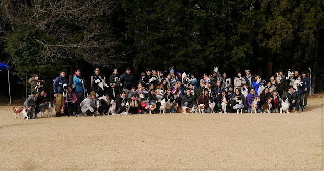 大勢の参加者と犬たちが広場で集合している様子.