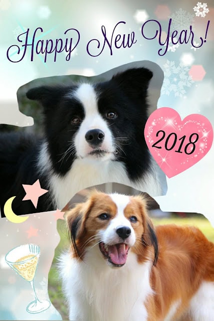2018年の新年を迎える犬と猫のハッピーニューイヤーのデザイン.