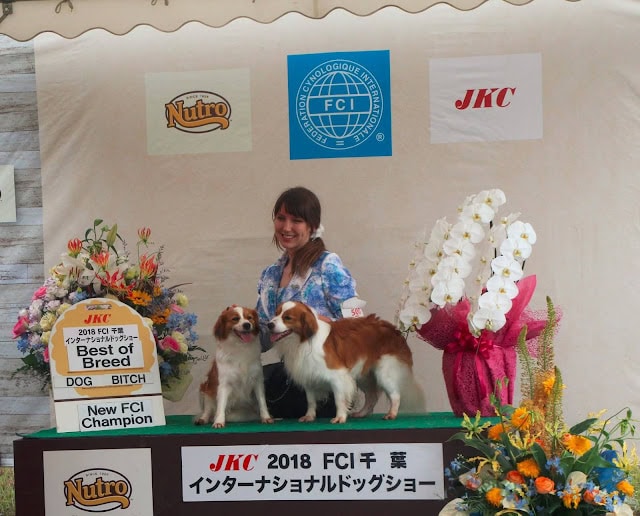 犬と飼い主の表彰シーンと華やかな花飾り.