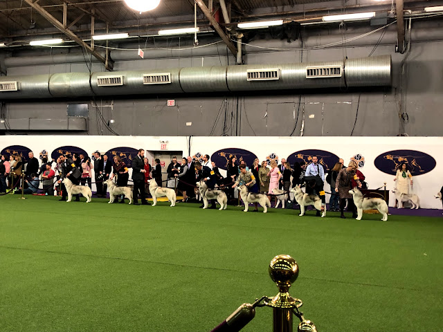 ▪NY日記【6日目・前半】