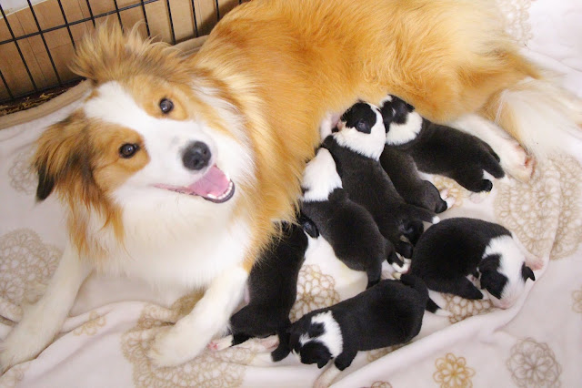 ▪ヴィーナス×プリンスっ子♡