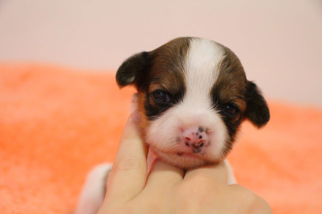 ▪タミーっ子♡