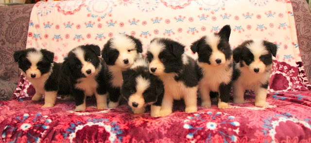 ▪ヴィーナスっ子♡5週目