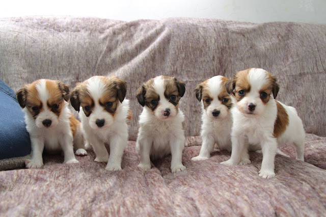 ▪タミーっ子♡