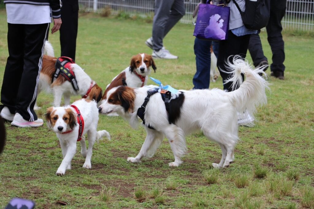 犬と飼い主が屋外で遊んでいる風景.
